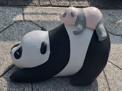 -星光大道