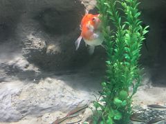 -苏州海洋馆
