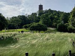 -红花山公园
