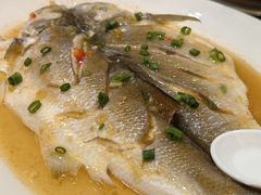 -抱德·潮汕味(琶洲店原惠城鱼仔)