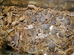 -欢乐牧场海鲜烤肉自助(牡丹园店)
