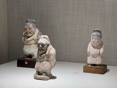 -广东中医药博物馆