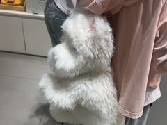 -微缤礼物(青岛海信广场店)