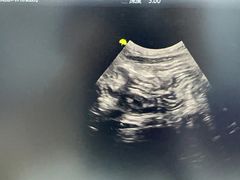 -拜鲁耶动物诊疗中心·宠家动物医院