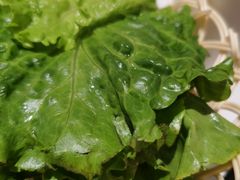生菜-花味·自助烤肉(雨花客厅店)