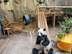 -深圳野生动物园
