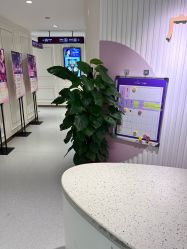 -广州美莱医疗美容医院
