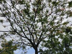 -中国移动南方基地