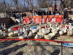 -辛庄国际文化艺术区