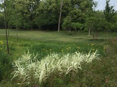 -昆山城市生态森林公园