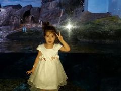 -暹罗海洋世界