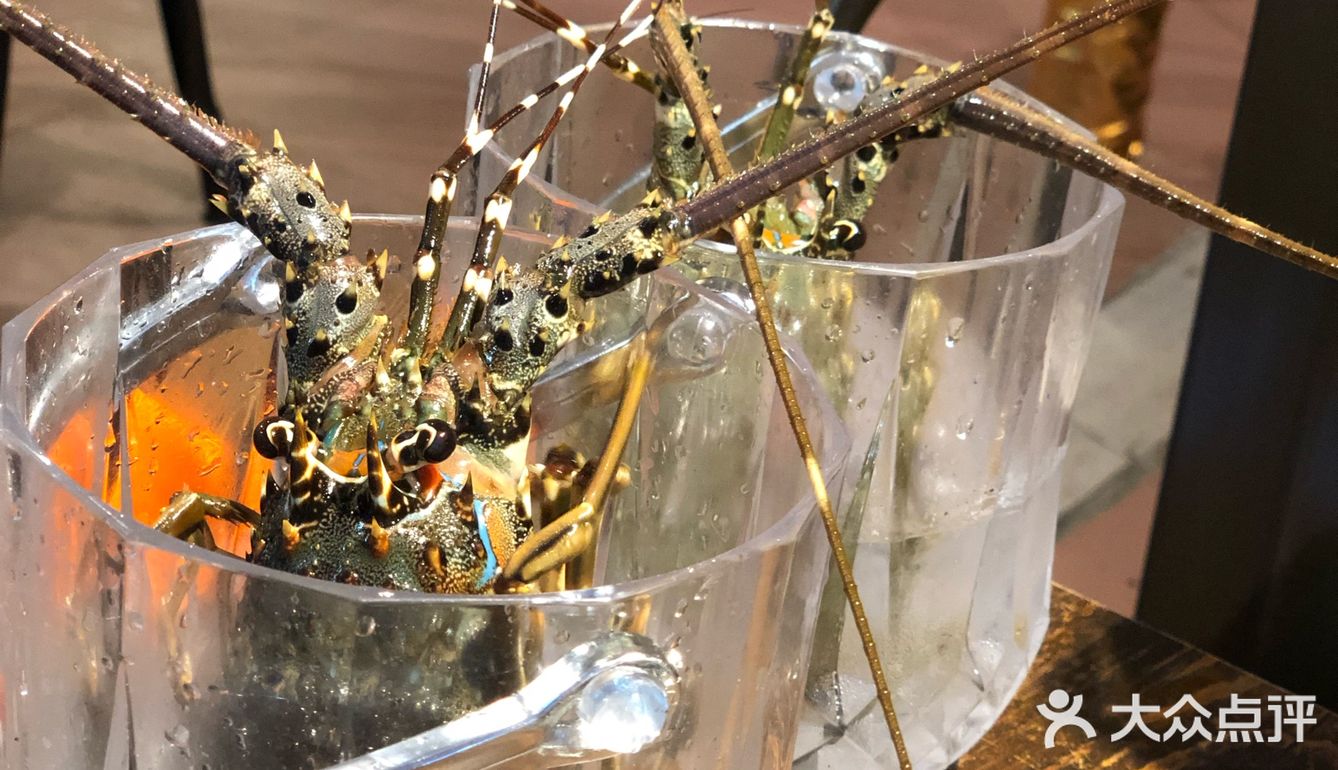 第一次是朋友带我去的第一次吃碳烤小花龙才58一只