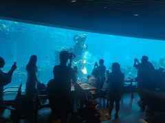 -海棠湾洲际-涛·海底餐厅·美人鱼·自助餐·海底隧道