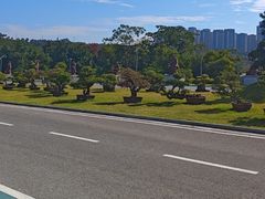 -广西壮族自治区药用植物园