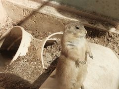 -昆明动物园