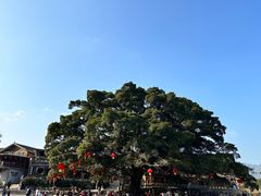 -云水谣景区