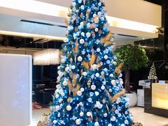 -上海龙之梦万丽酒店