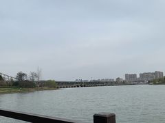 -澹台湖公园