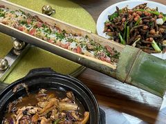 -广州白江湖森林公园