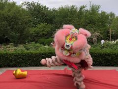 -洛阳市隋唐城遗址植物园