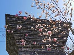 -广富林郊野公园