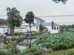 -莲花岛景区