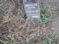 -梧桐山风景名胜区