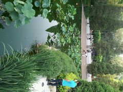 android_upload_pic-南馆公园