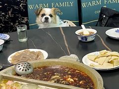 -秦巴石锅鱼
