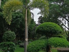 -广州雕塑公园