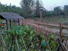 -溱湖国家湿地公园