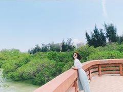 -宝安西湾红树林湿地公园