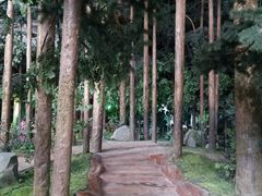 -吉林省自然博物馆