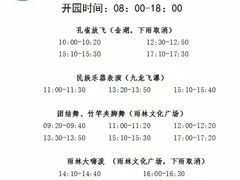 -西双版纳原始森林公园