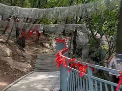 -六里坪国家森林公园