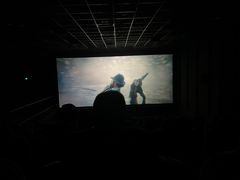 -华美国际影城(旧宫永辉店)