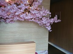 -紫· 割烹  Kappo Murasaki