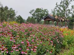 -张家湾公园