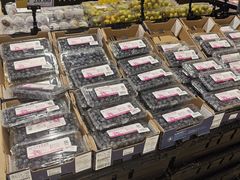 -AEON永旺(东方宝泰店)