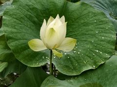 -厦门园林博览苑