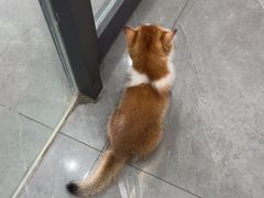 -贝利宠物医院·骨科·眼科·肿瘤转诊中心(南坪诊疗中心)