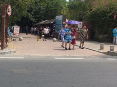 -亚龙湾海底世界