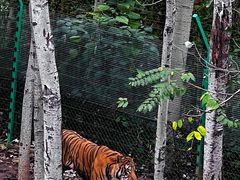 -济南野生动物世界