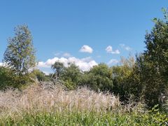 -野鸭湖国家湿地公园