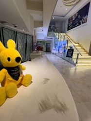 点击看大图 -石家庄苏亚美联臣医疗美容医院
