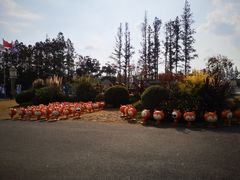 -上海长兴岛郊野公园