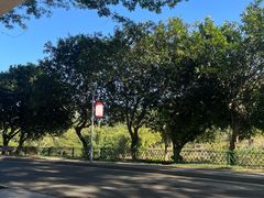 -东莞植物园