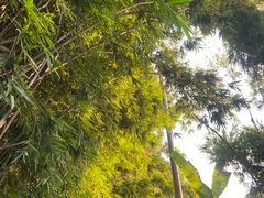 -北海市海滨公园