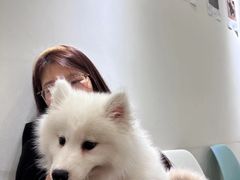 -Let's go狗咖·猫咖·奶狗·桌游(春熙路IFS店)