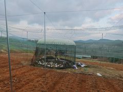 -竹上云想餐厅民宿